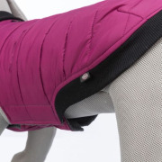 Manteau pour chien Arlay baie