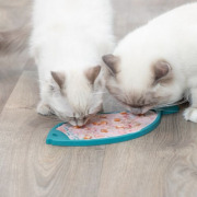 Tapis de léchage anti glouton anti stress poisson pour chat 28 cm