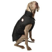 Manteau imperméable pour chien DOG noir