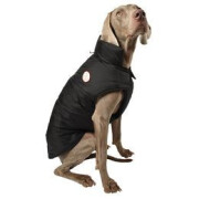 Manteau imperméable pour chien DOG noir