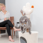 Maisonnette pour chat avec griffoir Cactus Design 84 cm