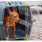 Cage de transport pour Chat JET