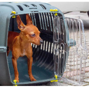 Cage de transport pour chat