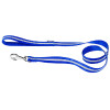 Fluo pour chien Bleu