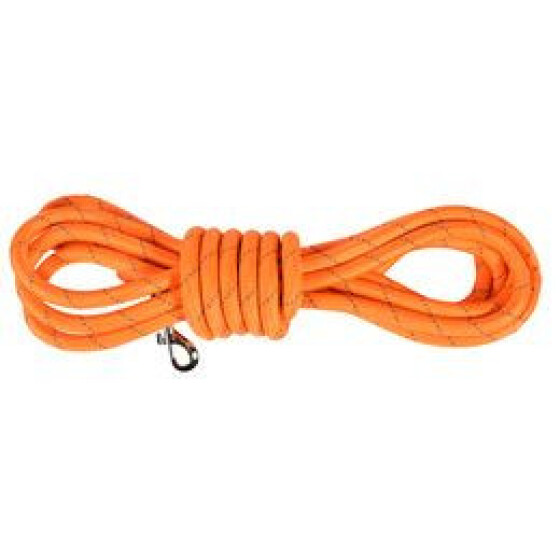 Longe pour chien Walk orange
