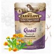 CARNILOVE Sachet Fraîcheur pour chat hypoallergénique sans céréales