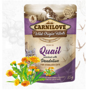 CARNILOVE Sachet Fraîcheur pour chat hypoallergénique sans céréales