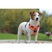 Harnais en Y : Anti-traction chien Rando Walk ORANGE