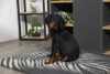 Tapis chauffant isolant, capte la chaleur