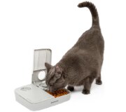 Distributeur automatique 2 repas pour Chat