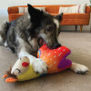 KONG Peluche Ballistic Vibez Llamas Assorted