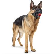 Muselière pour chien Albury Hunter