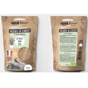 Herbe à chat à semer BIO