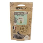 Herbe à chat à semer BIO