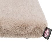 Coussin pour Chat, TOP matelas orthopédique