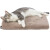 Coussin pour Chat, TOP matelas orthopédique