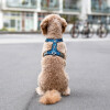 Harnais Walk Air confort anti traction en Y OCÉAN DOG Copenhagen