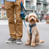 Harnais Walk Air confort anti traction en Y OCÉAN DOG Copenhagen