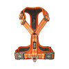Walk Air confort orange DOG Copenhagen