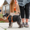 Walk Air confort orange DOG Copenhagen