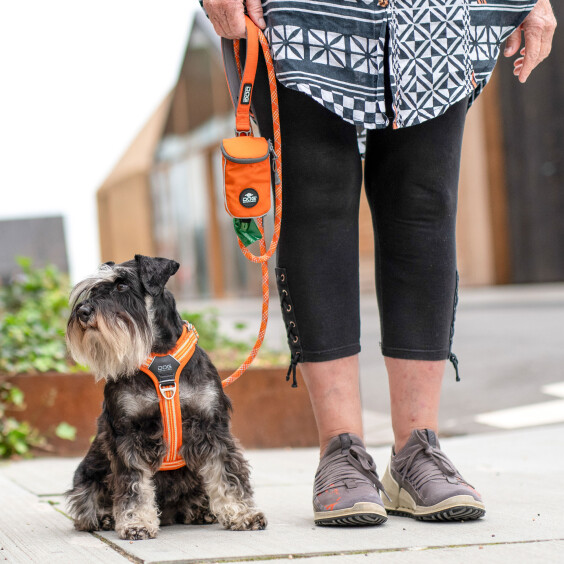 Walk Air confort orange DOG Copenhagen