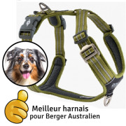 Harnais Berger Australien Walk Air confort Green DOG Copenhagen