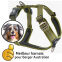 Laisse Walk Air confort Berger Australien GREEN- 2m