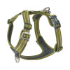 Harnais Berger Australien Walk Air confort Green DOG Copenhagen