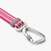 Collier Réfléchissant Urban Style ROSE pour chien