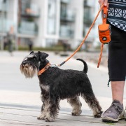 Collier pour chien Urban orange DOG Copenhagen