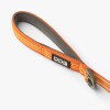 Collier pour chien Urban orange DOG Copenhagen