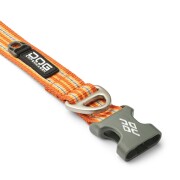 Collier Réfléchissant Urban pour chien Style ORANGE
