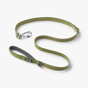 Collier Réfléchissant pour chien Urban Style GREEN