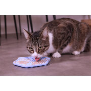 Tapis de léchage anti glouton Chat&Chien