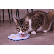 Tapis de léchage anti glouton Chat&Chien