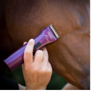 Tondeuse Adore pour Chevaux 