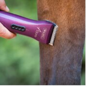 Tondeuse Adore pour Chevaux 