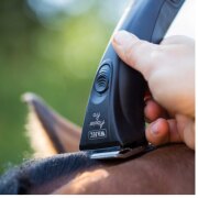 Tondeuse Adelar Pro pour Chevaux