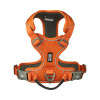 Harnais Comfort Walk Pro anti-traction avec poignée pour chien orange DOG Copenhagen