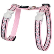 Harnais poisson pour chat lumineux anti-fugue