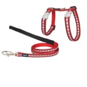 Harnais poisson pour chat, lumineux, anti fugue