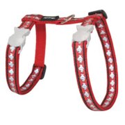 Harnais poisson pour chat, lumineux, anti fugue