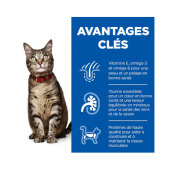 Hill's Science Plan croquettes au poulet pour chat