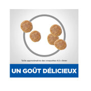 HILL'S Science Plan croquettes Scien Plan Poulet pour Chat