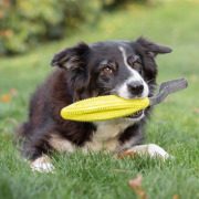 Jouet à friandises dental avec poignée pour chien 31 cm