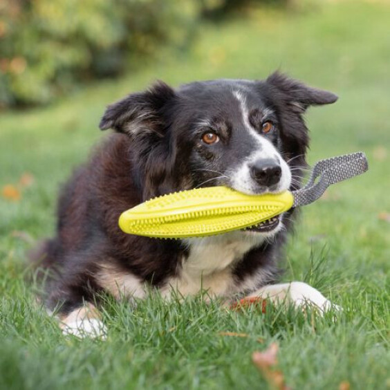 Jouet à friandises dental avec poignée pour chien 31 cm