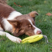 Jouet à friandises dental avec poignée pour chien 31 cm