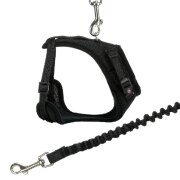 Harnais pour Maine Coon : L'unique harnais Maine Coon