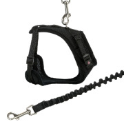 Harnais pour Maine Coon 30-60 cm