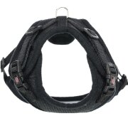 Harnais pour Maine Coon : L'unique harnais Maine Coon